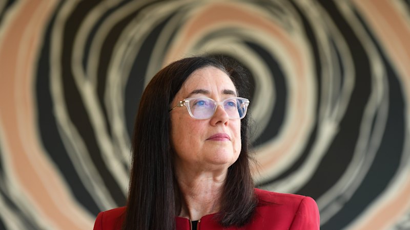 First Qantas, now Coles: the star corporate lawyer beating her one-time clients