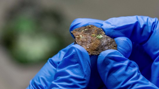 Oskar Lindenmayer holds a fragment of the Cranbourne meteorites, revealing (in green) the new mineral muonionalustaite.