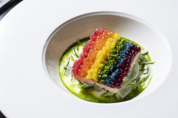 The “rainbow” trout.