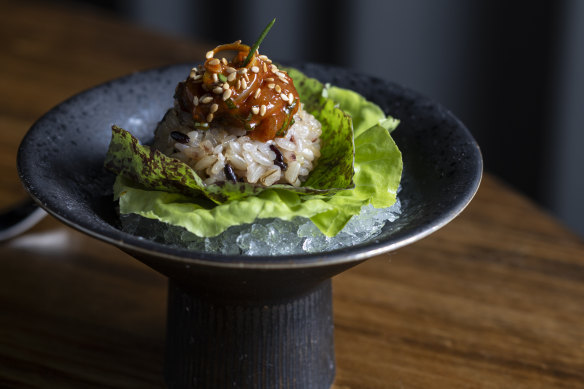 Salted calamari, seasoned rice, Geraldton wax.