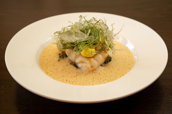 Port Phillip Bay snapper, fennel bouillabaisse and rouille.
