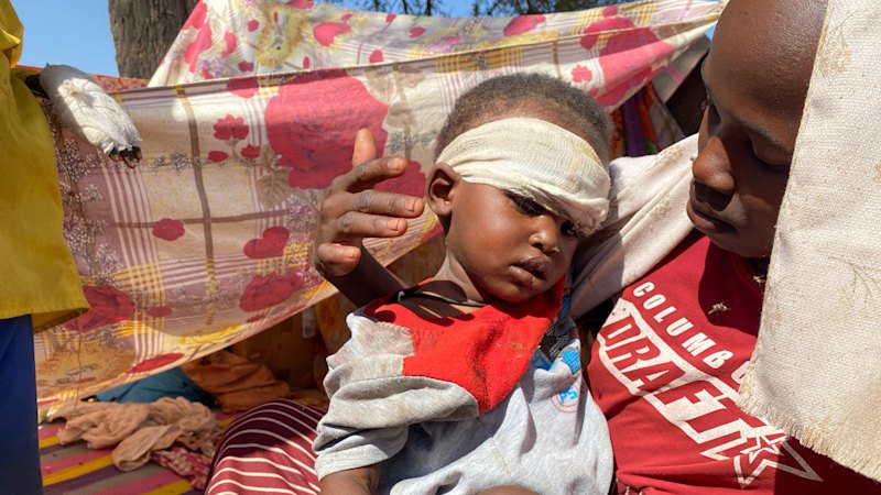 ‘We cannot hear the screams’: Sudan’s war takes horrific turn as Trump looks away