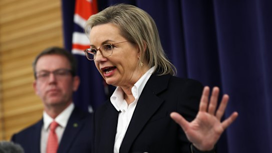 Opposition Leader Sussan Ley and her energy spokesman Dan Tehan.