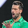 A fired-up Novak Djokovic in his semi-final clash with Jannik Sinner.