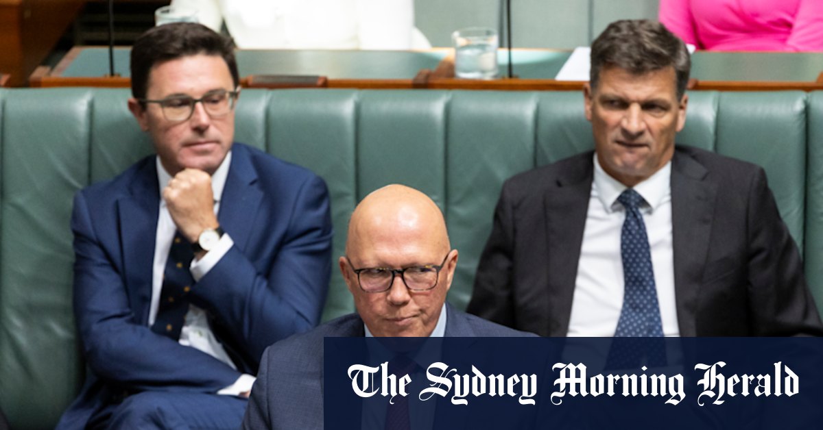 Supermarket prices: Peter Dutton Coalition developing 'big stick' Coles, Woolies law amid price gouging claims - Vimarsana News
