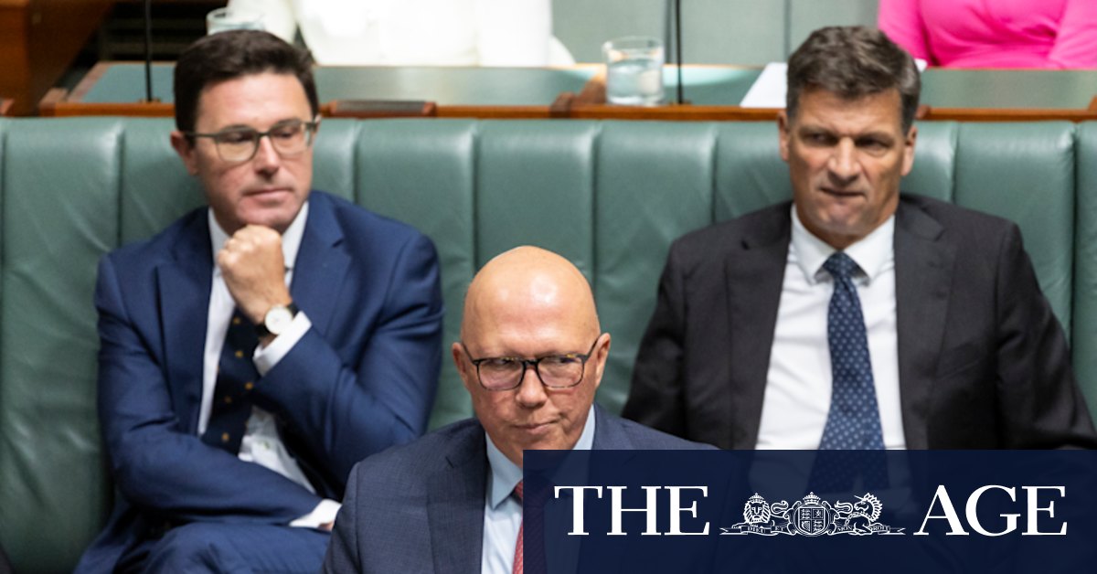 Supermarket prices: Peter Dutton Coalition developing 'big stick' Coles, Woolies law amid price gouging claims - Vimarsana News