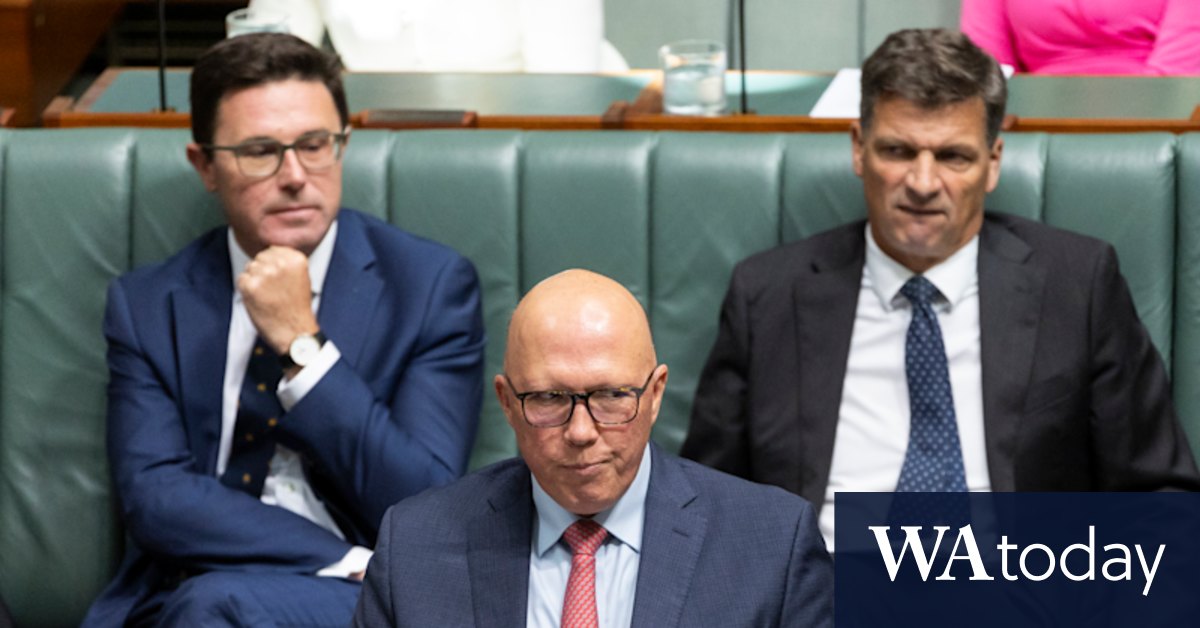 Supermarket prices: Peter Dutton Coalition developing 'big stick' Coles, Woolies law amid price gouging claims - Vimarsana News