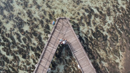 Visit the UNESCO site of the Stromatolites.