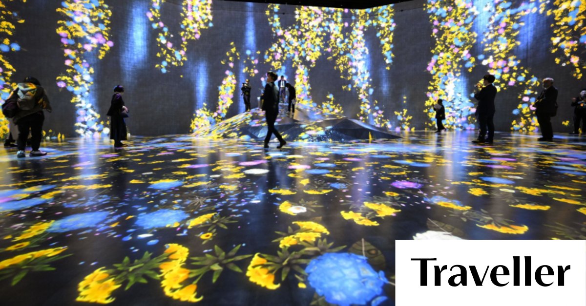 teamLab Borderless reopens in Tokyo: One of the world's coolest museums - Vimarsana News
