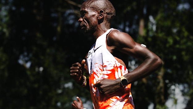 Eliud Kipchoge on the road, training in Kenya.