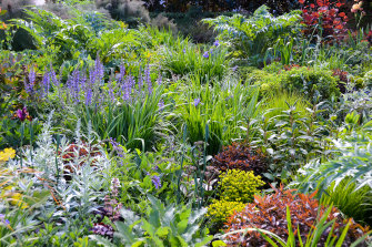 Jac Semmler weaves together different plant types in her Frankston garden