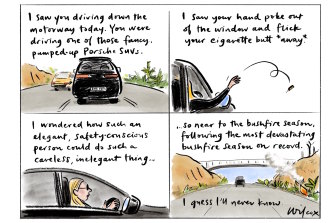 Illustration: Cathy Wilcox