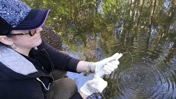 Dr Tamielle Brunt carries out an eDNA test to monitor for the presence of platypuses.