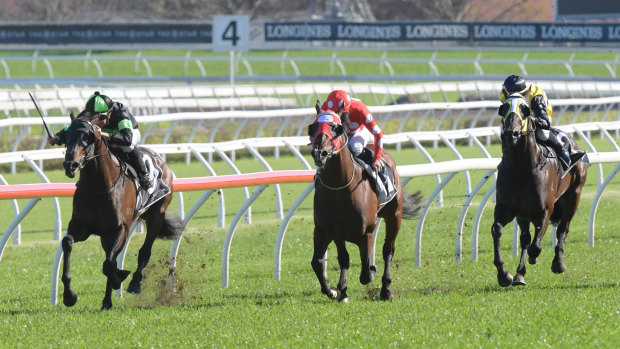 Stepping up:  Sesar takes out the Roman Consul Stakes on a heavy Randwick in the spring.