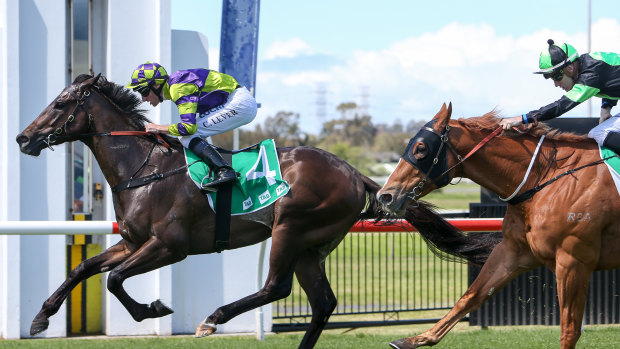 Open: there are plenty of chances on a seven-race card at Kembla.