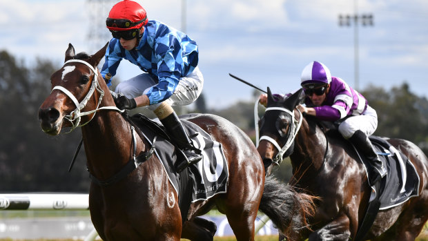 Highly touted: Funstar will get plenty of attention in the Randwick opener.