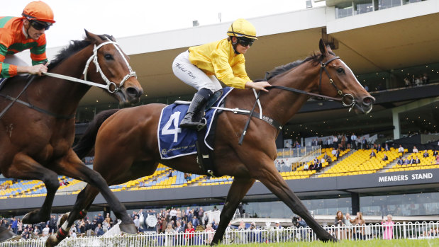 Rachel King steers Hopeful to victory in the Lord Mayors Cup at Rosehill.