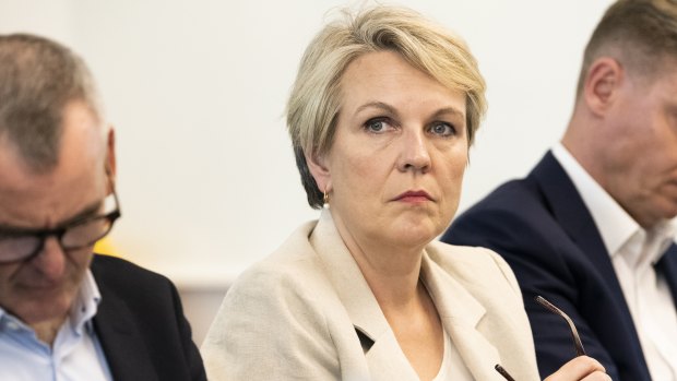 “If companies aren’t willing to show how they will protect nature, then I’m willing to cancel their projects,” said Minister for the Environment Tanya Plibersek.