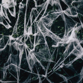Birds and other wildlife can become ensnared in fake spiderwebs.