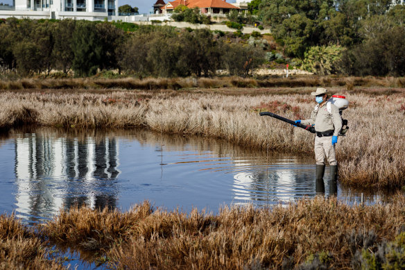 Mosquito treatment of wetlands along the Swan River.