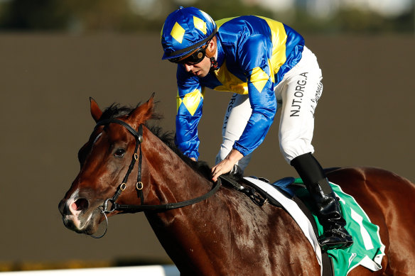 Adam Hyeronimus lets down on Dawn Passage after scoring in the Hawkesbury Guineas at Rosehill.