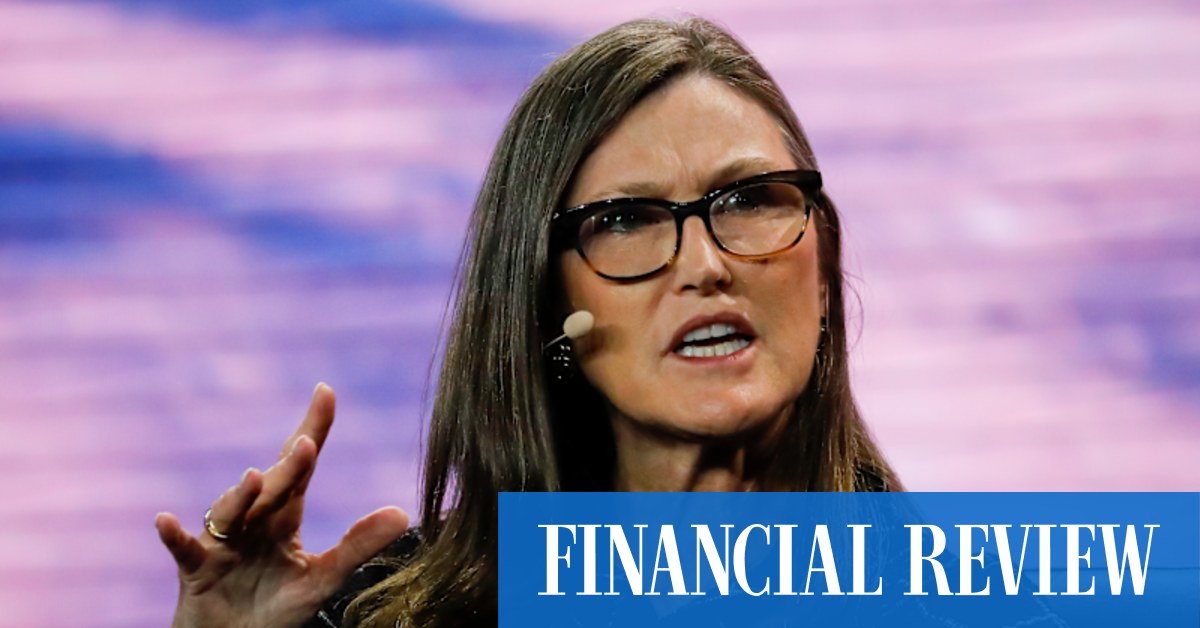 The high-profile investor is betting equity markets are at the start of a decade-long bull market driven by artificial intelligence. And she’s an Elon Musk fan.