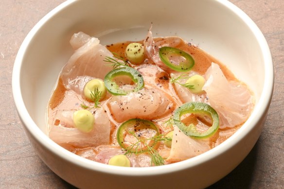 Kingfish aguachile, the raw fish served with a citrusy dressing and slices of fresh jalapeno.