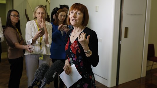 Greens party whip Senator Rachel Siewert.