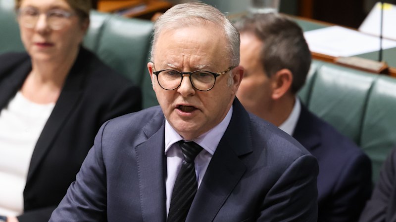 ‘We need to be courageous’: Albanese plans to go harder on teen social media ban