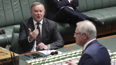 Opposition Leader Anthony Albanese and Prime Minister Scott Morrison in Parliament in June.