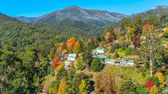 Rents have eased in the Alpine shire. 