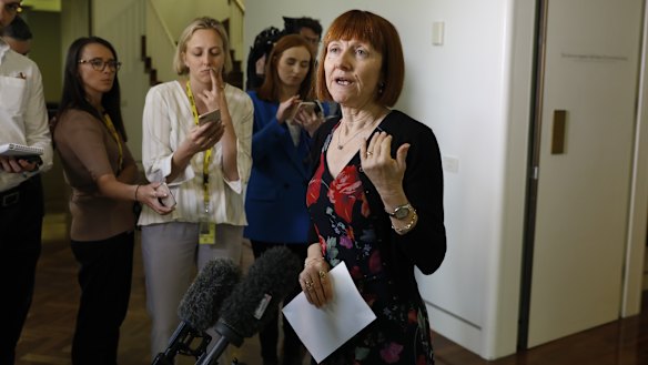 Greens party whip Senator Rachel Siewert.