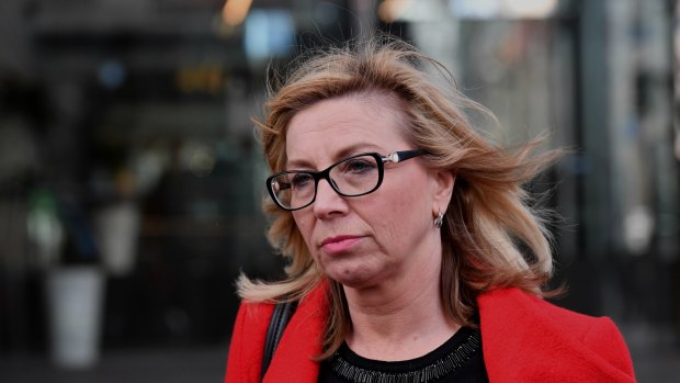 Rosie Batty galvanised Australians over family violence after her son Luke was killed.