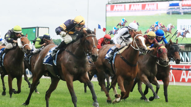 Tofane launches down the centre of the track to win during Melbourne Cup week.