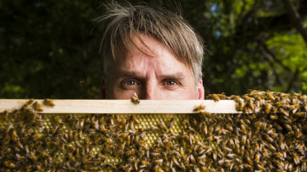 Eric Davies is a Canberra apiarist who collects swarms of bees from people's homes. 