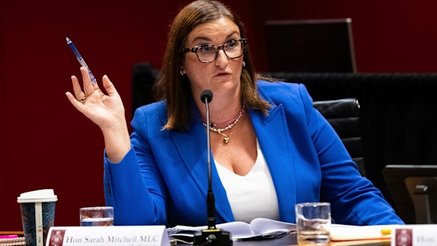 Nationals MP Sarah Mitchell believes the government should better support the journey to parenthood.