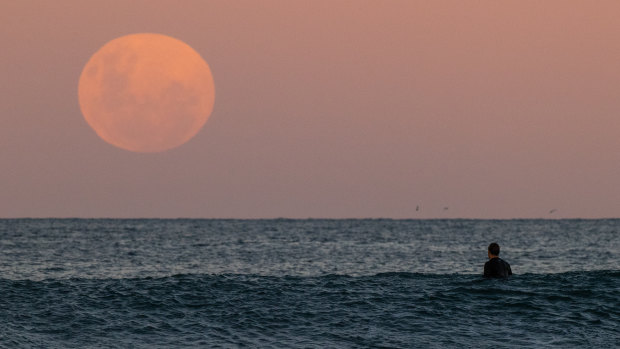 Moon to give a “lunar assist” to rising seas.