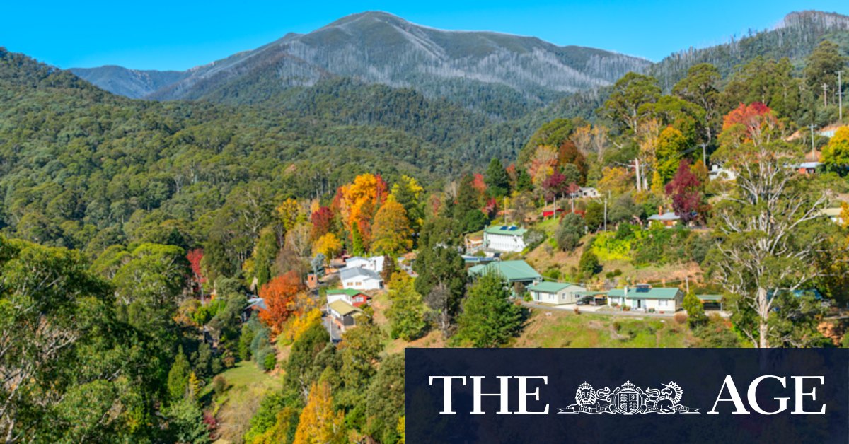 Regional Victoria: The COVID tree-change towns where rents are now at a discount - Vimarsana News