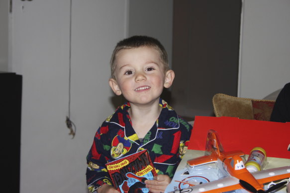 William Tyrrell vanished in 2014.