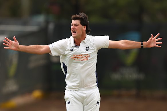 Victoria’s Sam Elliott took the big wicket of Alex Carey.