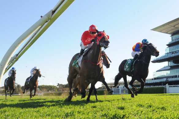 Redzel on the rails holds off the fast-finishing Pierata in the Concorde Stakes.