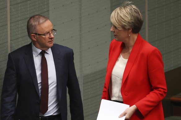 Opposition Leader Anthony Albanese and Sydney MP Tanya Plibersek in Parliament this year.
