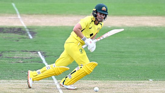 Phoebe Litchfield impressed on debut.