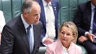 Shadow Treasurer Ted O’Brien, Shadow Minister for Energy and Emissions Reduction Dan Tehan, Opposition leader Sussan Ley and Shadow Minister for Defence Angus Taylor during Question Time at Parliament House in Canberra
