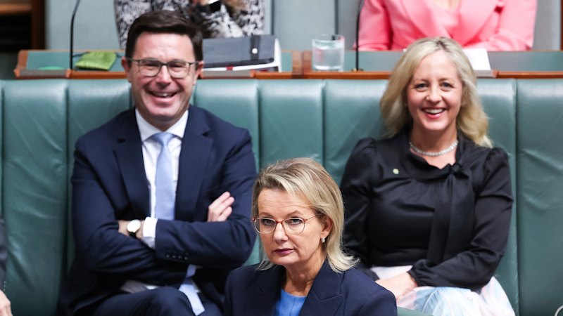 The three gaffes that fuelled Ley’s nightmare fortnight