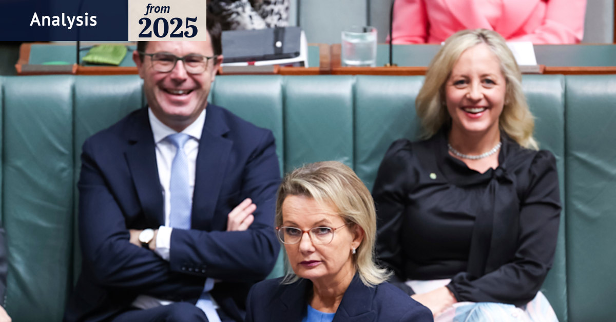 Sussan Ley leadership: Liberal Party infighting intensifies amid net ...