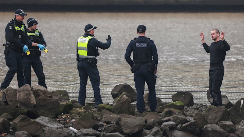 Accused Pam the Bird vandal arrested after hours-long Bolte Bridge stand-off