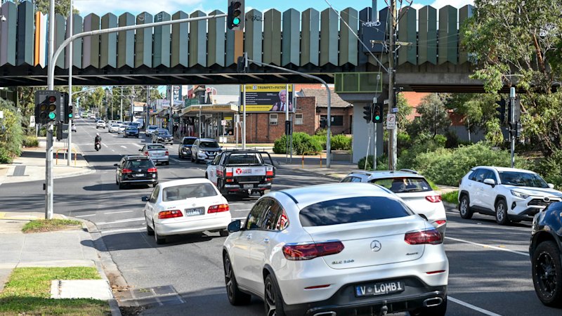 In my suburb, it’s easy to tell the locals apart – just look at their legs