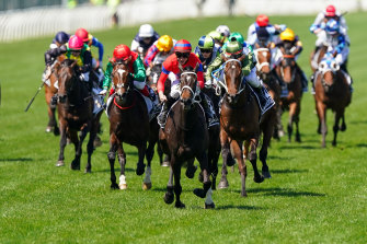Verry Elleegant races to victory in the Melbourne Cup.