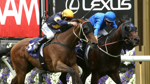 Toughing it out: Ranier holds off Wild Planet in the  Carbine Club Stakes in November.